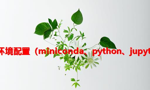 大模型应用研发基础环境配置（Miniconda、Python、Jupyter Lab、Ollama等）